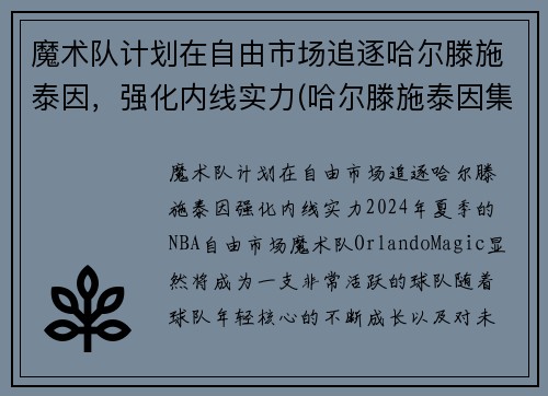 魔术队计划在自由市场追逐哈尔滕施泰因，强化内线实力(哈尔滕施泰因集锦)