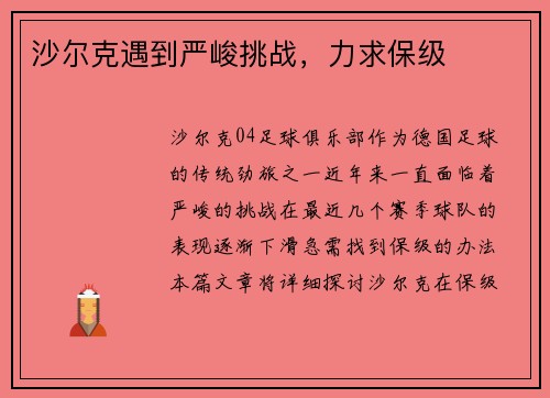沙尔克遇到严峻挑战，力求保级
